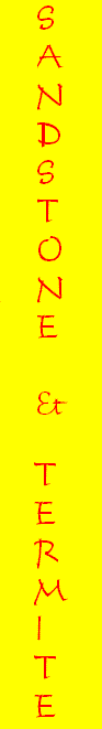 vert logo